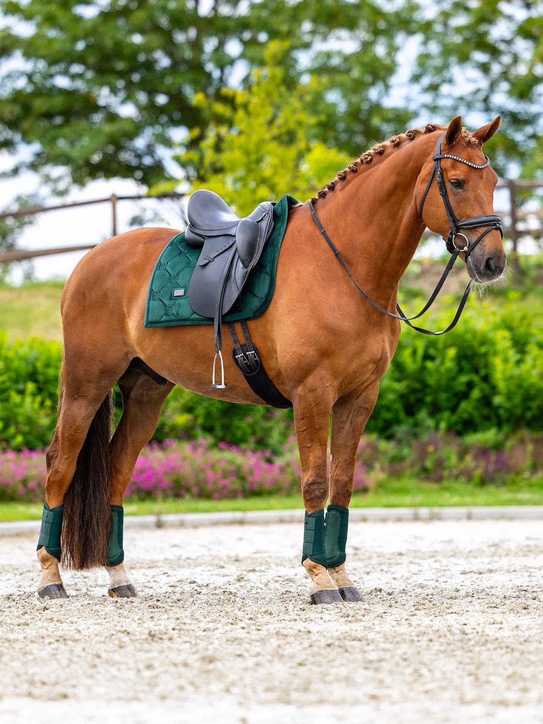Equestrian Stockholm Velvet Pad - Sycamore Green