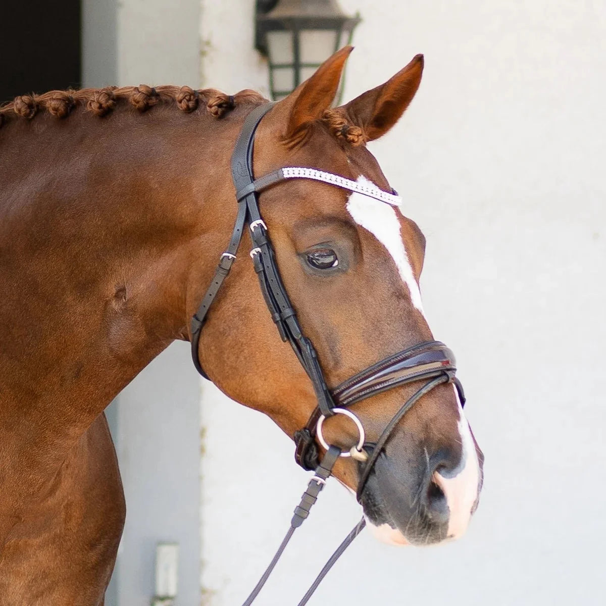 Lumiere Amie Rolled Bridle Brown - Cob Size