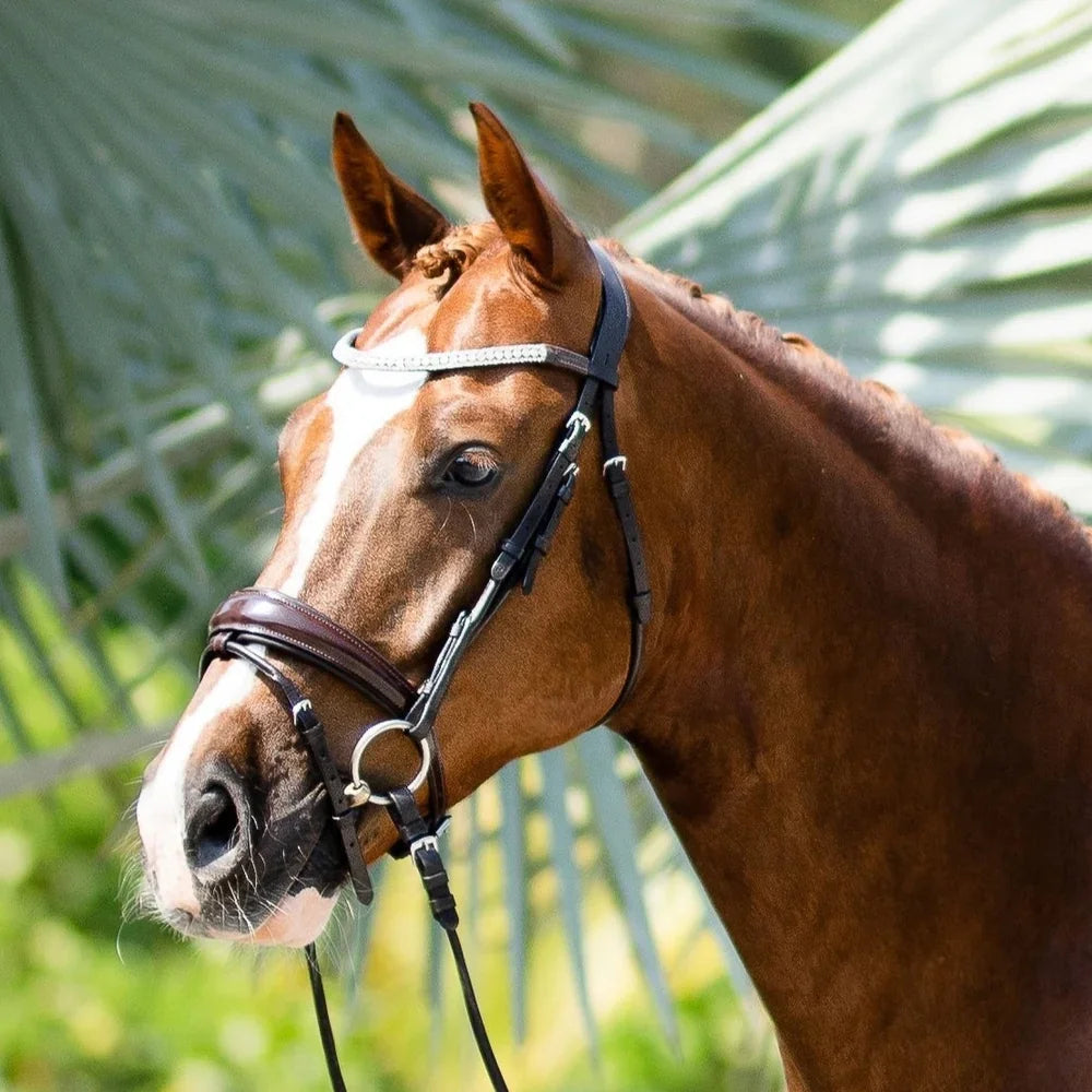 Lumiere Amie Rolled Bridle Brown - Cob Size