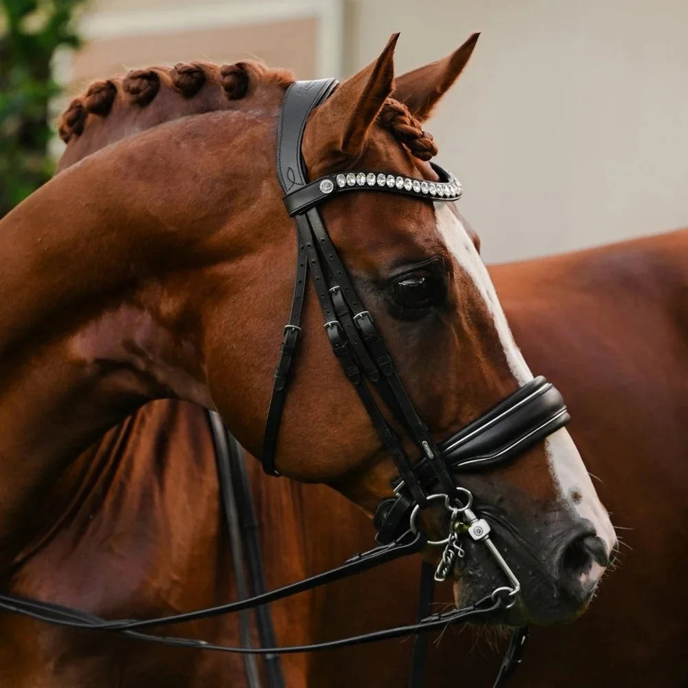 Lumiere Diva Double Bridle - Black - Cob